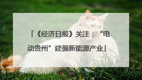 《经济日报》关注：“电动贵州”建强新能源产业