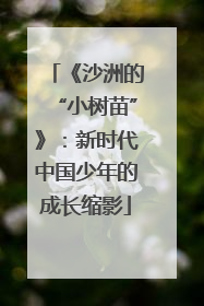 《沙洲的“小树苗”》：新时代中国少年的成长缩影