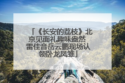 《长安的荔枝》北京见面礼趣味盎然 雷佳音岳云鹏现场认领卧龙凤雏