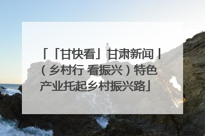 「甘快看」甘肃新闻丨（乡村行 看振兴）特色产业托起乡村振兴路