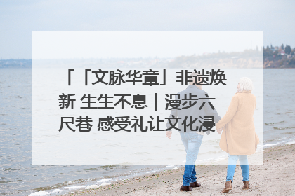 「文脉华章」非遗焕新 生生不息｜漫步六尺巷 感受礼让文化浸润的“巷”往生活