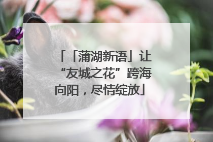 「蒲湖新语」让“友城之花”跨海向阳，尽情绽放