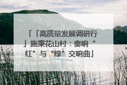 「高质量发展调研行」施秉花山村：奏响“红”与“绿”交响曲