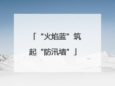 “火焰蓝”筑起“防汛墙”