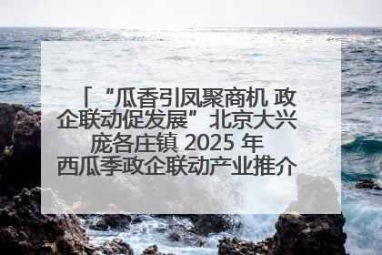 “瓜香引凤聚商机 政企联动促发展”北京大兴庞各庄镇 2025 年西瓜季政企联动产业推介活动圆满举行