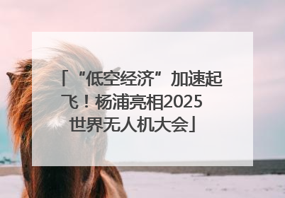 “低空经济”加速起飞！杨浦亮相2025世界无人机大会