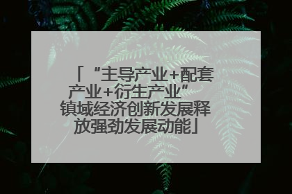 “主导产业+配套产业+衍生产业” 镇域经济创新发展释放强劲发展动能