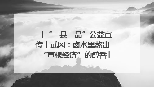 “一县一品”公益宣传丨武冈：卤水里熬出“草根经济”的醇香