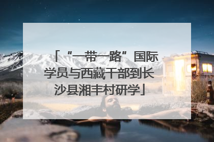 “一带一路”国际学员与西藏干部到长沙县湘丰村研学