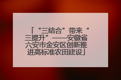 “三结合”带来“三提升”——安徽省六安市金安区创新推进高标准农田建设