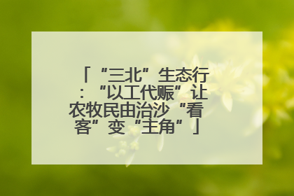 “三北”生态行：“以工代赈”让农牧民由治沙“看客”变“主角”