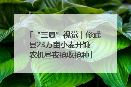 “三夏”视觉｜修武县23万亩小麦开镰 农机昼夜抢收抢种