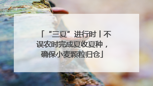 “三夏”进行时丨不误农时完成夏收夏种，确保小麦颗粒归仓