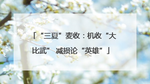 “三夏”麦收：机收“大比武” 减损论“英雄”