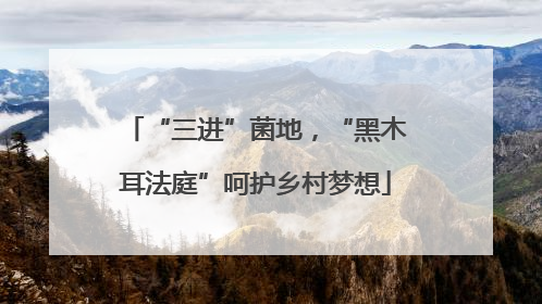 “三进”菌地，“黑木耳法庭”呵护乡村梦想