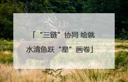 “三链”协同 绘就水清鱼跃“星”画卷
