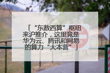 “东数西算”枢纽来沪推介，这里竟是华为云、腾讯和网易的算力“大本营”
