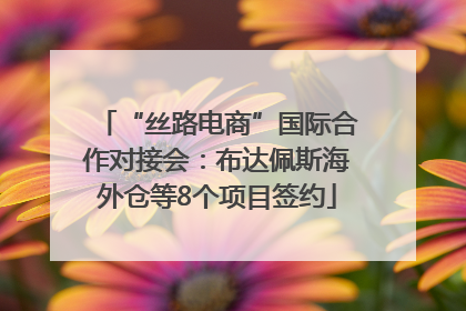 “丝路电商”国际合作对接会：布达佩斯海外仓等8个项目签约