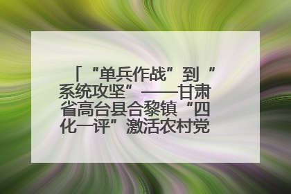“单兵作战”到“系统攻坚”——甘肃省高台县合黎镇“四化一评”激活农村党员管理新引擎