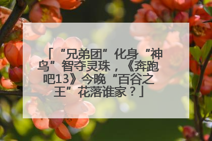 “兄弟团”化身“神鸟”智夺灵珠，《奔跑吧13》今晚“百谷之王”花落谁家？