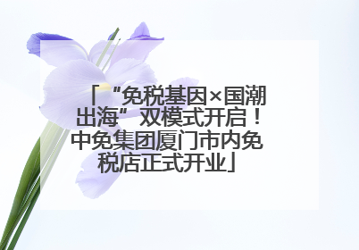 “免税基因×国潮出海”双模式开启！中免集团厦门市内免税店正式开业