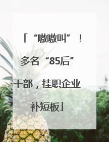 “嗷嗷叫”！多名“85后”干部，挂职企业补短板