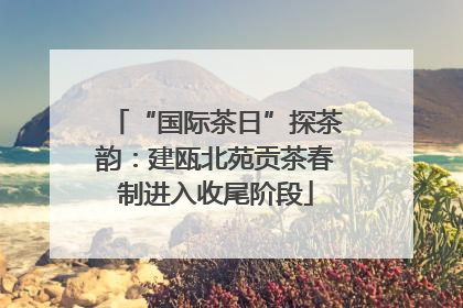 “国际茶日”探茶韵：建瓯北苑贡茶春制进入收尾阶段