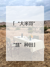 “大米哥”“慧”种田