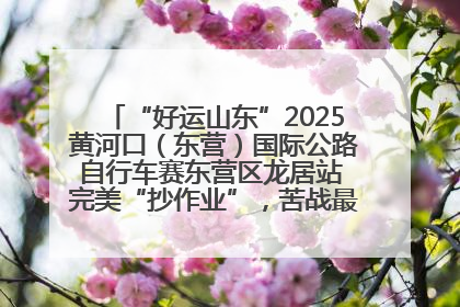 “好运山东”2025黄河口（东营）国际公路自行车赛东营区龙居站 完美“抄作业”，苦战最后时刻黄衫易主