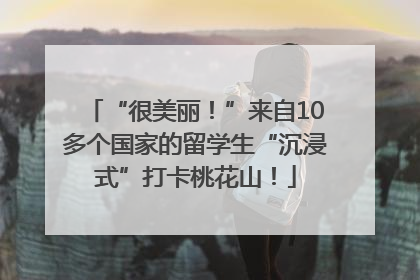 “很美丽！”来自10多个国家的留学生“沉浸式”打卡桃花山！
