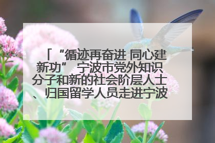 “循迹再奋进 同心建新功” 宁波市党外知识分子和新的社会阶层人士、归国留学人员走进宁波舟山港穿山港区