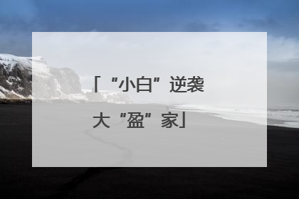 “小白”逆袭大“盈”家