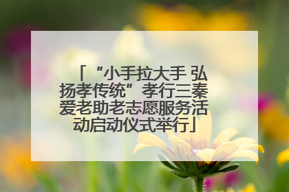 “小手拉大手 弘扬孝传统”孝行三秦爱老助老志愿服务活动启动仪式举行