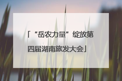 “岳农力量”绽放第四届湖南旅发大会
