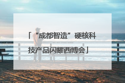 “成都智造”硬核科技产品闪耀西博会