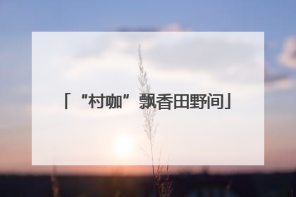 “村咖”飘香田野间