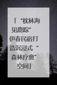 “枕林海见鹿踪” 伊春民宿打造沉浸式“森林疗愈”空间