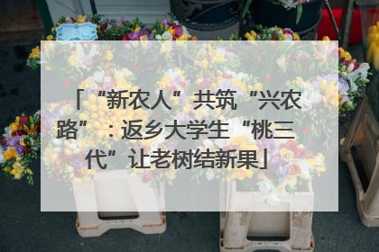 “新农人”共筑“兴农路”：返乡大学生“桃三代”让老树结新果
