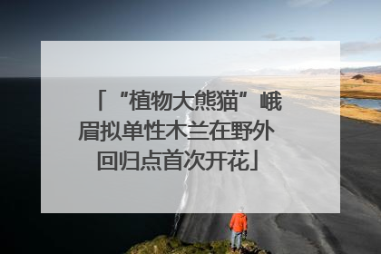 “植物大熊猫”峨眉拟单性木兰在野外回归点首次开花