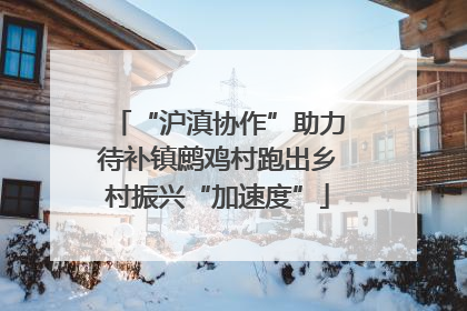 “沪滇协作”助力待补镇鹧鸡村跑出乡村振兴“加速度”