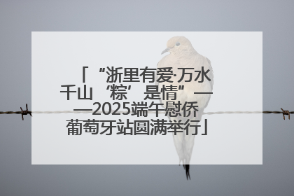 “浙里有爱·万水千山‘粽’是情”——2025端午慰侨葡萄牙站圆满举行