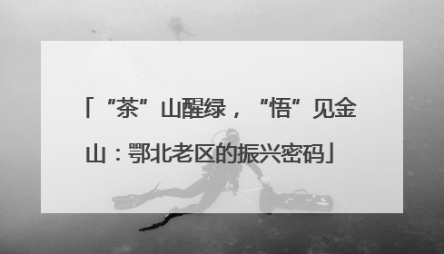 “茶”山醒绿，“悟”见金山：鄂北老区的振兴密码