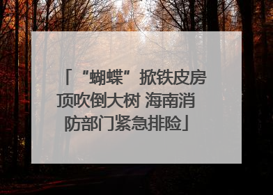 “蝴蝶”掀铁皮房顶吹倒大树 海南消防部门紧急排险