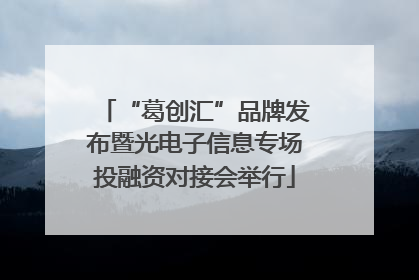 “葛创汇”品牌发布暨光电子信息专场投融资对接会举行