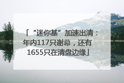 “迷你基”加速出清：年内117只谢幕，还有1655只在清盘边缘