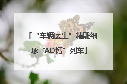 “车辆医生”精雕细琢“AD钙”列车
