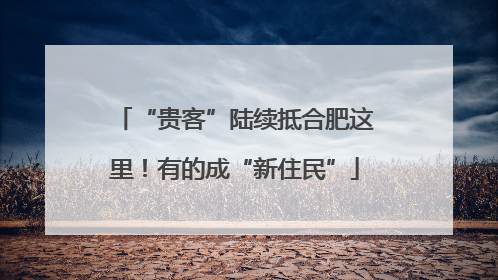 “贵客”陆续抵合肥这里！有的成“新住民”