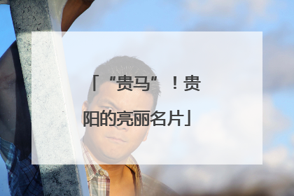 “贵马”！贵阳的亮丽名片
