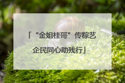 “金姐桂哥”传粽艺 企民同心助残行