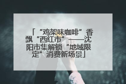 “鸡架味咖啡”香飘“西红市”——沈阳市集解锁“地域限定”消费新场景